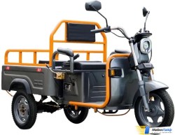 Электротрицикл AVM Cargo mini 800 - Фото