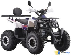 Квадроцикл AVM Thunder 200 Белый - Фото